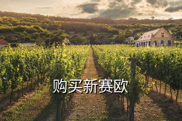 購(gòu)買(mǎi)新賽歐
