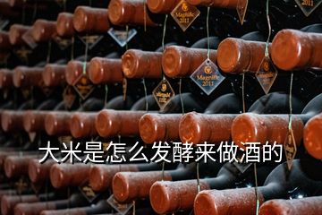 大米是怎么發(fā)酵來做酒的