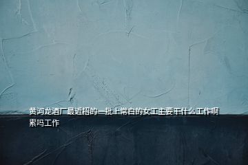 黃河龍酒廠(chǎng)最近招的一批上常白的女工主要干什么工作啊累嗎工作
