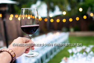 楊梅酒比例10斤白酒放多少楊梅 楊梅酒中途可以開(kāi)蓋嗎