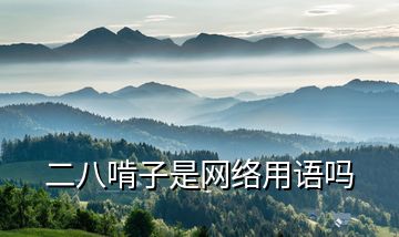 二八啃子是網(wǎng)絡(luò)用語(yǔ)嗎