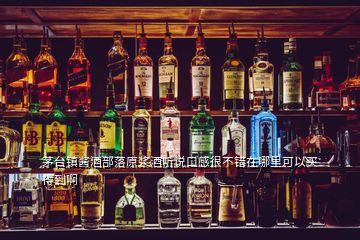 茅臺(tái)鎮(zhèn)醬酒部落原漿酒聽(tīng)說(shuō)口感很不錯(cuò)在哪里可以買(mǎi)得到啊