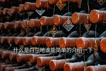 什么是白蘭地誰(shuí)能簡(jiǎn)單的介紹一下