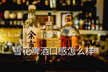 雪花啤酒口感怎么樣