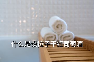 什么是設拉子干紅葡萄酒