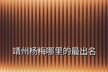 靖州楊梅哪里的最出名