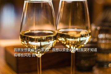 我朋友想要成立一家酒廠 我想以資金入股 但我又不知道有哪些風(fēng)險 我