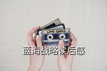 藍海戰(zhàn)略讀后感