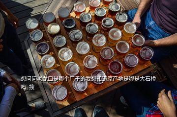 想問(wèn)問(wèn)老龍口是哪個(gè)廠(chǎng)子的我想知道原產(chǎn)地是哪是大石橋嗎  搜