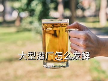大型酒廠(chǎng)怎么發(fā)酵