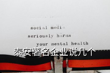 泰安著名企業(yè)說幾個