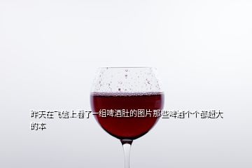 昨天在飛信上看了一組啤酒肚的圖片那些啤酒個個都超大的本