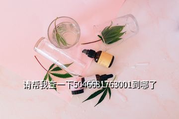 請(qǐng)幫我查一下5046681763001到哪了