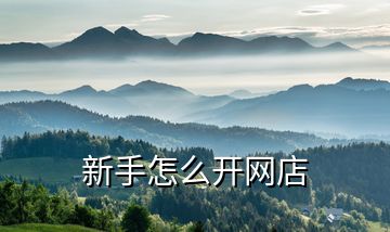 新手怎么開(kāi)網(wǎng)店