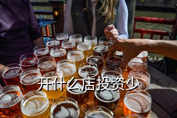 開(kāi)什么店投資少