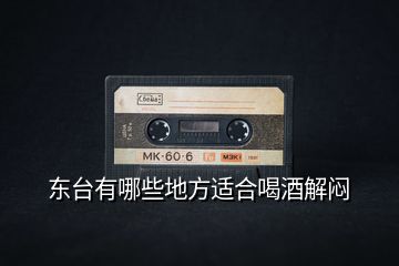 東臺(tái)有哪些地方適合喝酒解悶