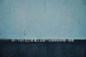 問(wèn)一下XO 白蘭地 威士忌那個(gè)對(duì)身體好好喝一些呢