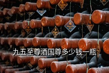 九五至尊酒國(guó)尊多少錢一瓶
