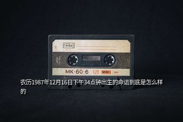 農(nóng)歷1987年12月16日下午34點鐘出生的命運到底是怎么樣的