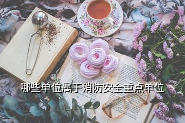 哪些單位屬于消防安全重點(diǎn)單位