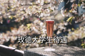 玫德大學生待遇