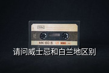 請(qǐng)問威士忌和白蘭地區(qū)別