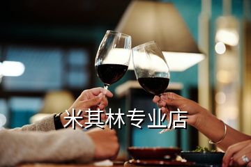 米其林專(zhuān)業(yè)店