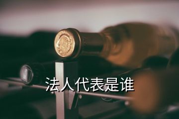 法人代表是誰(shuí)
