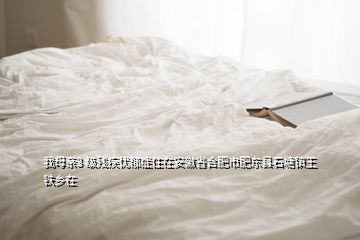 我母親3 級(jí)殘疾憂郁癥住在安徽省合肥市肥東縣石塘鎮(zhèn)王鐵鄉(xiāng)在