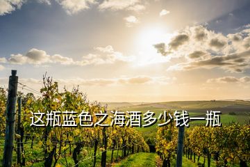 這瓶藍(lán)色之海酒多少錢一瓶