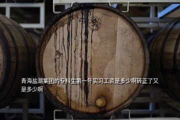 青海鹽湖集團的?？粕谝荒陮嵙?xí)工資是多少啊轉(zhuǎn)正了又是多少啊