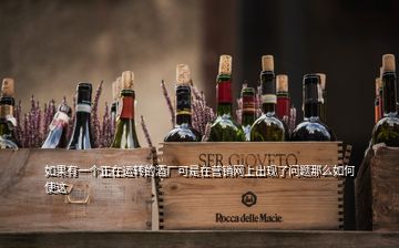 如果有一個正在運轉(zhuǎn)的酒廠可是在營銷網(wǎng)上出現(xiàn)了問題那么如何使這
