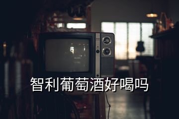 智利葡萄酒好喝嗎