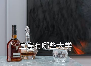 宜賓有哪些大學(xué)