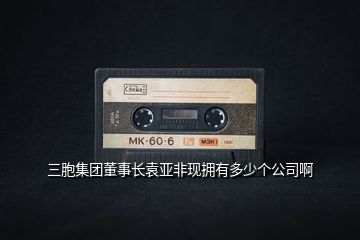三胞集團(tuán)董事長(zhǎng)袁亞非現(xiàn)擁有多少個(gè)公司啊