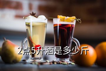 2點5升酒是多少斤