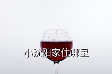 小沈陽家住哪里