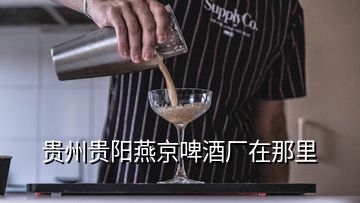 貴州貴陽(yáng)燕京啤酒廠在那里