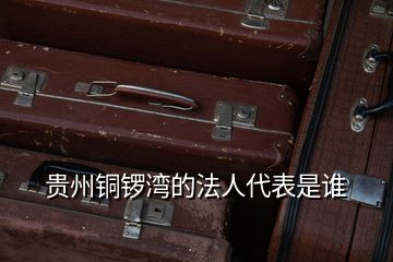 貴州銅鑼灣的法人代表是誰