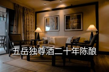 五岳獨尊酒二十年陳釀