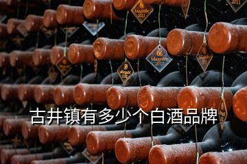 古井鎮(zhèn)有多少個(gè)白酒品牌