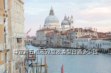 尊宜賓五糧液52度濃香型白酒多少錢(qián)