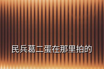 民兵葛二蛋在那里拍的