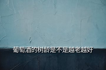 葡萄酒的樹齡是不是越老越好