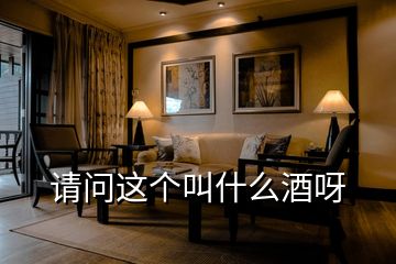 請(qǐng)問(wèn)這個(gè)叫什么酒呀