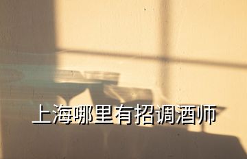 上海哪里有招調(diào)酒師