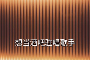 想當酒吧駐唱歌手