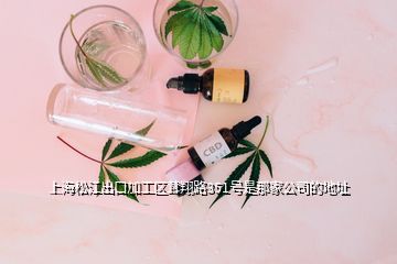 上海松江出口加工區(qū)茸翔路351號是那家公司的地址