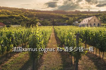 法國(guó)xamus cognac Xo 酒多少錢一瓶