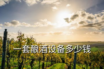 一套釀酒設(shè)備多少錢(qián)